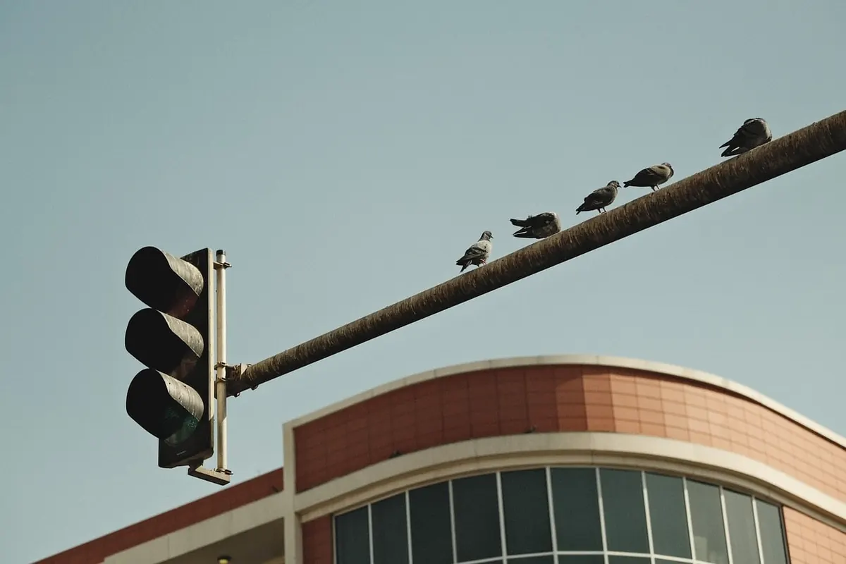 Understanding Aliasing and How to Avoid It in Digital Signals